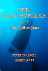 SUEZ COVER (2)