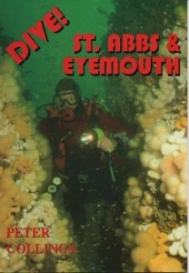 BOOK COVER 7