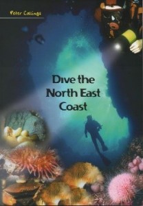 BOOK COVER 9