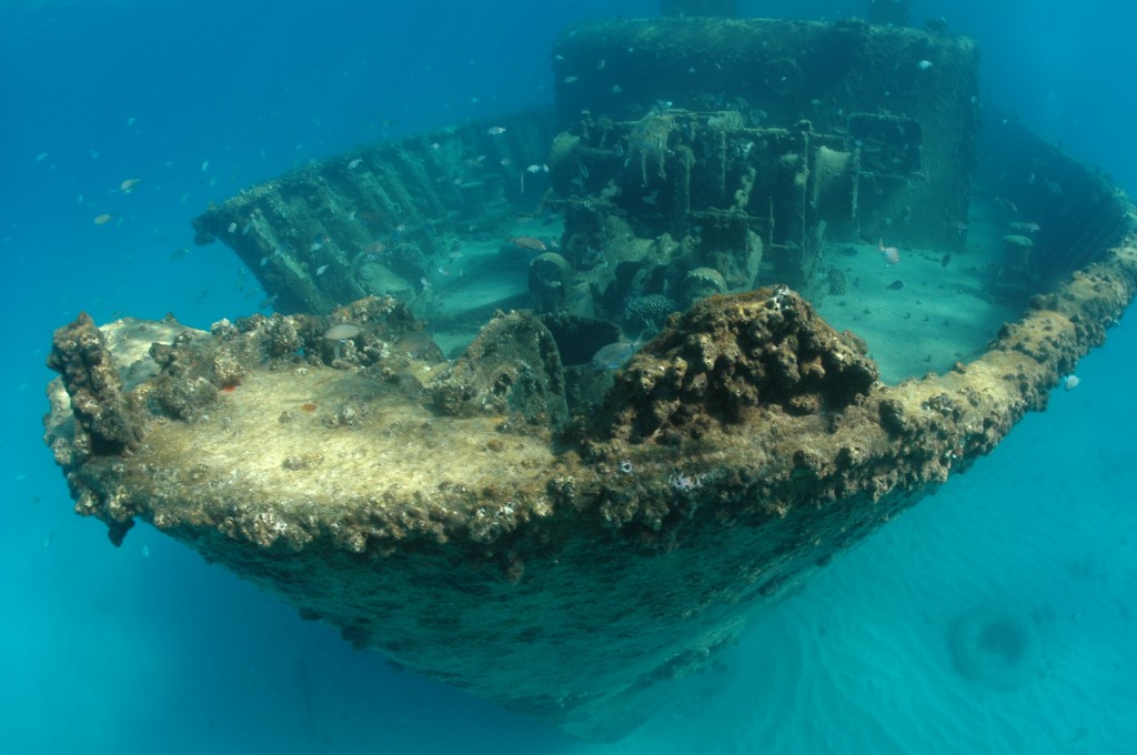 M.V. Bakr Egyptian Survey Vessel